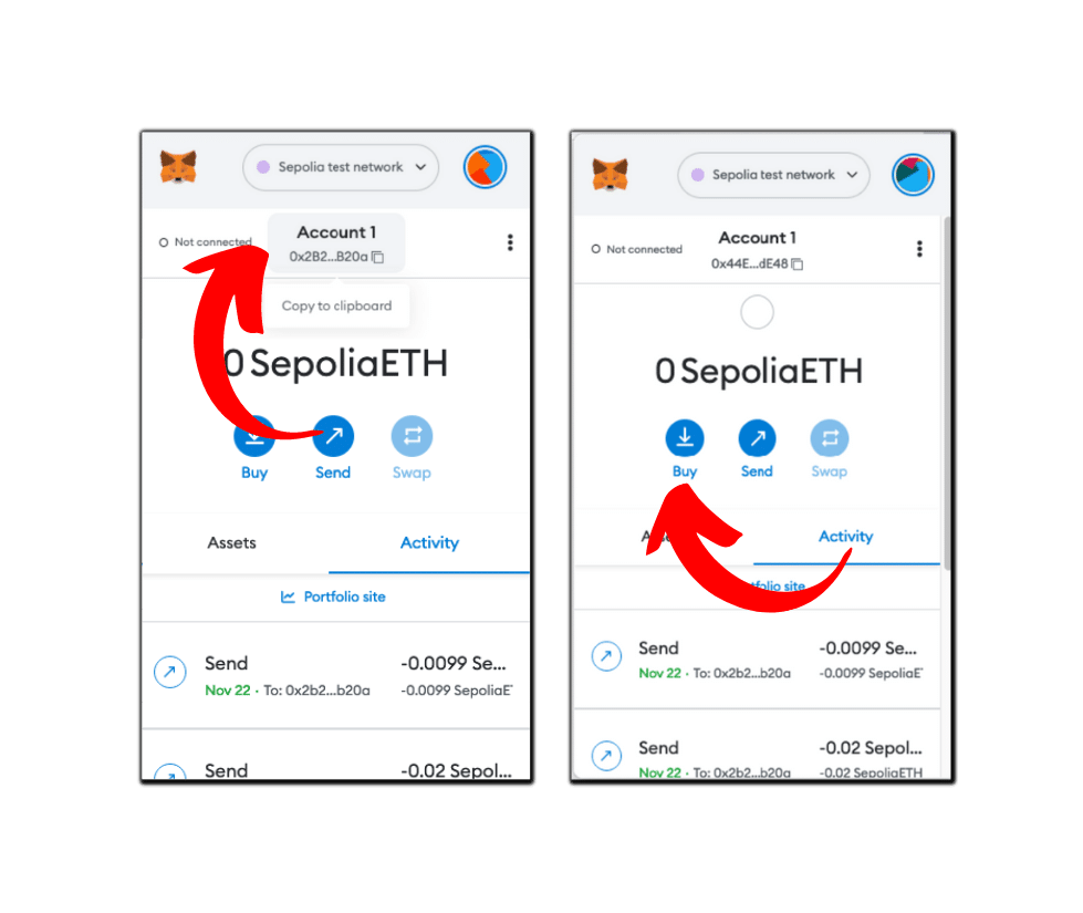 Copying the network public address in MetaMask