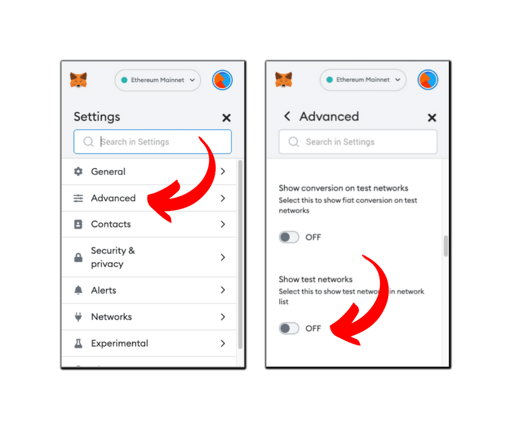 Turning on the test networks toggle in MetaMask