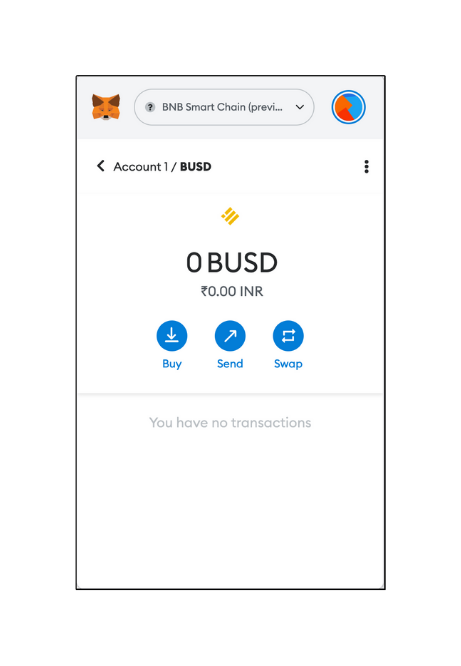 BUSD in MetaMask