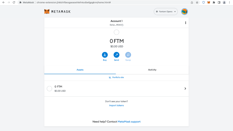 Fantom network and FTM tokens in MetaMask