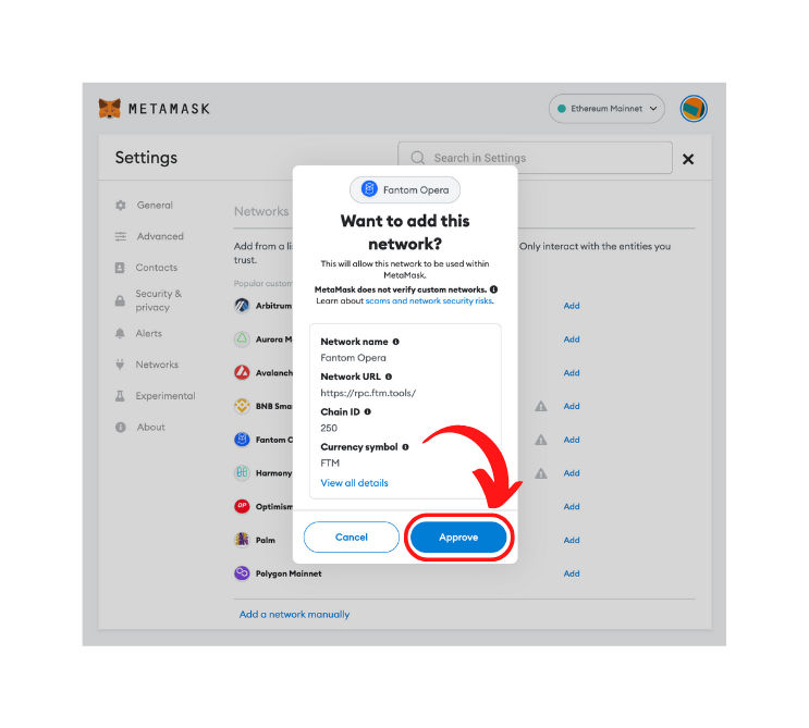 Approving fantom networks details in MetaMask