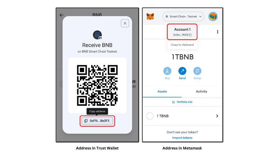 Blockchain address in Trust Wallet and Metamask